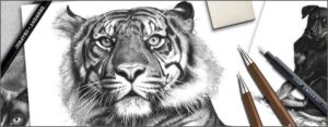 Unleashing Your Artistic Potential: Tips to Improve Your Drawing Skills